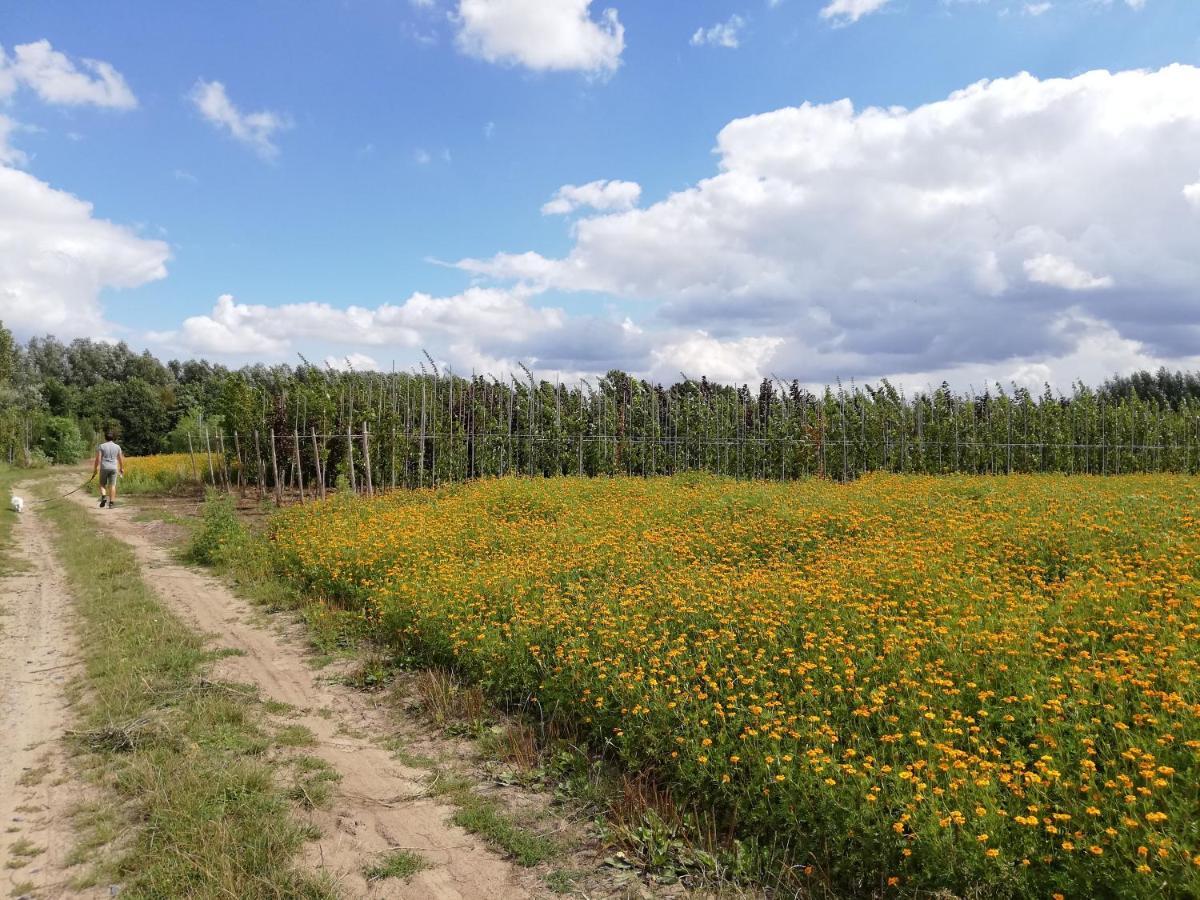 B&B De Stuifduinen Wetteren Екстериор снимка