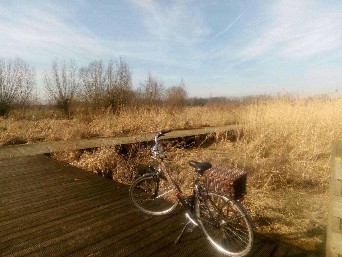 B&B De Stuifduinen Wetteren Екстериор снимка